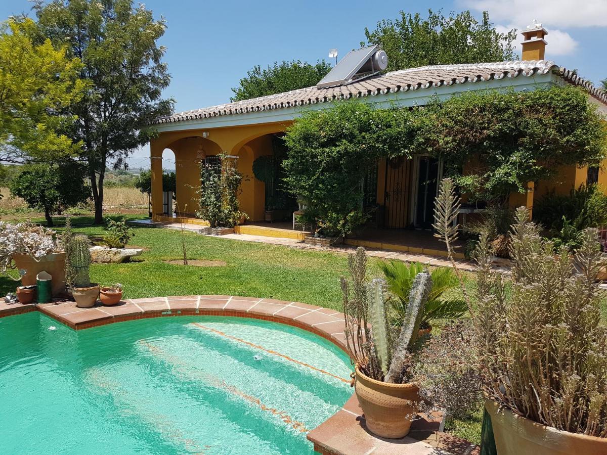 Finca La Gallina Blanca Alhaurín el Grande Eksteriør bilde