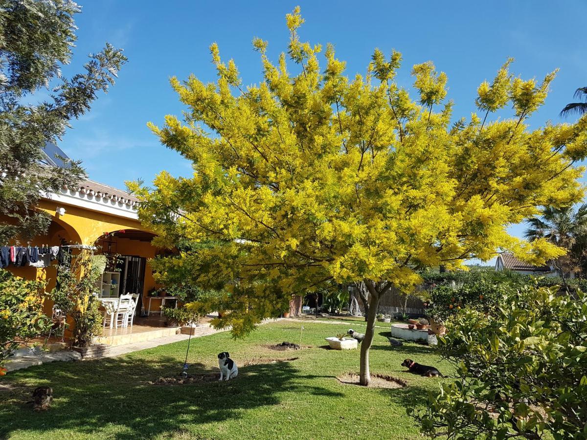 Finca La Gallina Blanca Alhaurín el Grande Eksteriør bilde